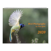 Vogelfotografie door Tom Spine, kalender 2020 (Hoes)