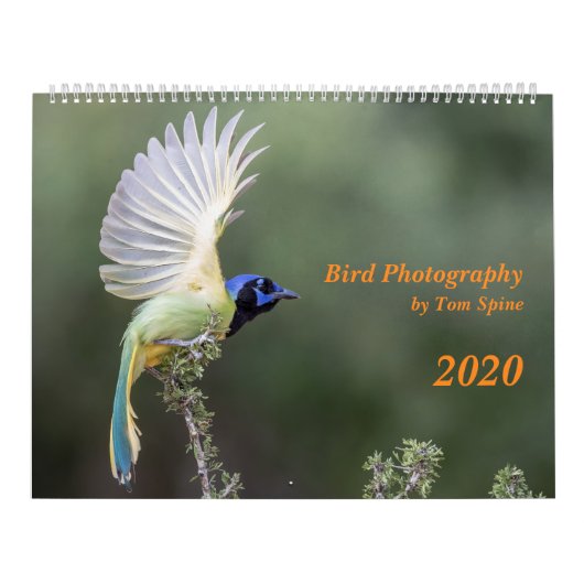 Vogelfotografie door Tom Spine, kalender 2020 (Hoes)