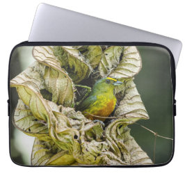 Vogelfotografie, met olijfbomen ondersteunde eufon laptop sleeve