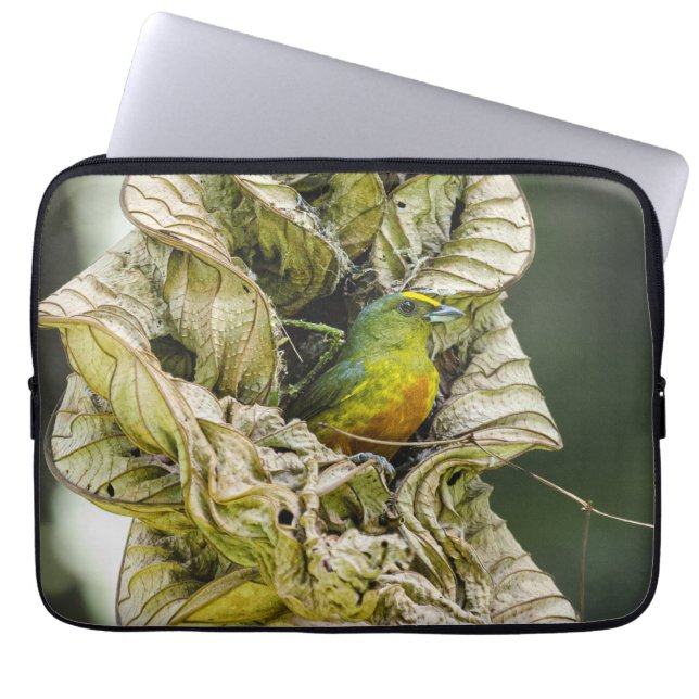 Vogelfotografie, met olijfbomen ondersteunde eufon laptop sleeve (Voorkant)