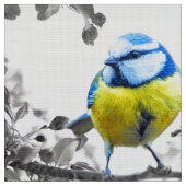 Vogelfotografie Stof (Close Up)