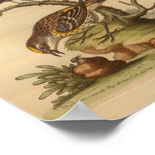  vogelgele bespikte afdrukken poster (Hoek)