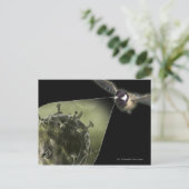 Vogelgriep uit de vogel briefkaart (Staand voorkant)