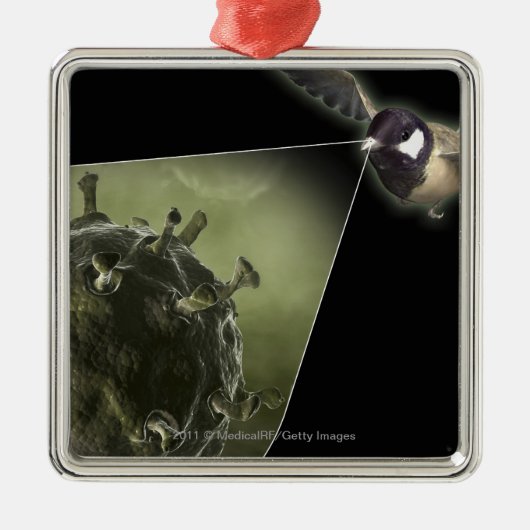 Vogelgriep uit de vogel metalen ornament (Voorkant)