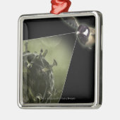 Vogelgriep uit de vogel metalen ornament (Links)