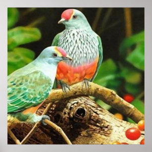 Vogelgroen Poster