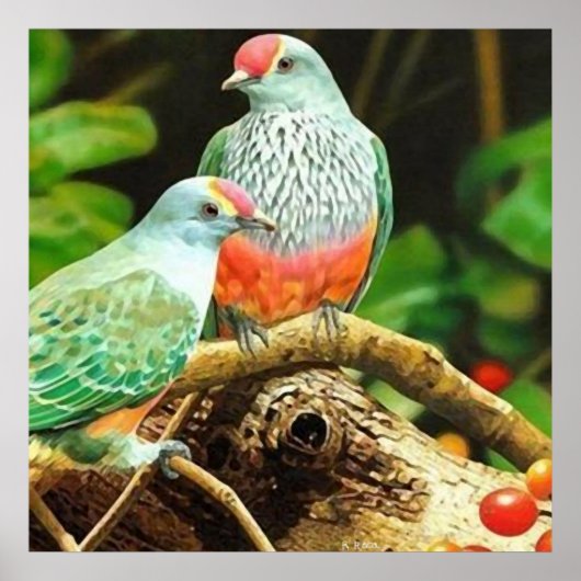 Vogelgroen Poster (Voorkant)