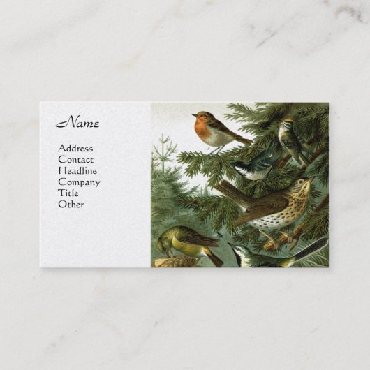 Vogelgroep 3 visitekaartje (Voorkant)