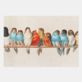 Vogelhoeken, vogelkunst, vogelkunst, ontkoppeling inpakpapier vel (Voorkant)