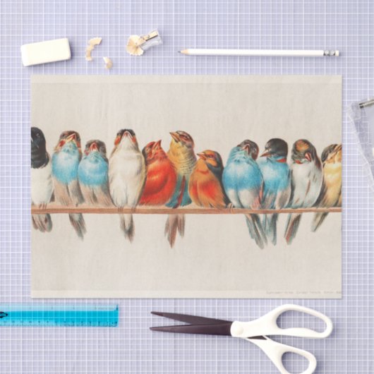 Vogelhoeken, vogelkunst, vogelkunst, ontkoppeling tissuepapier (Craft)