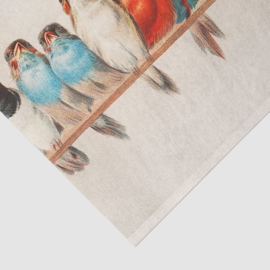 Vogelhoeken, vogelkunst, vogelkunst, ontkoppeling tissuepapier (Detail)