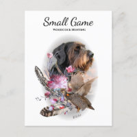 Vogelhond, houtsnip jagen