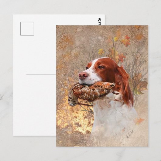 Vogelhond, houtsnip jagen briefkaart (Voorkant / Achterkant)