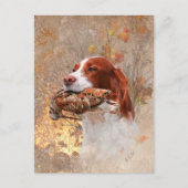 Vogelhond, houtsnip jagen briefkaart (Voorkant)