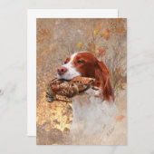 Vogelhond, houtsnip jagen kaart (Voorkant / Achterkant)