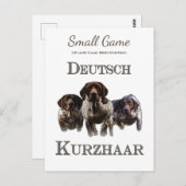 Vogelhond, Upland Game Vogeljacht Briefkaart (Voorkant / Achterkant)