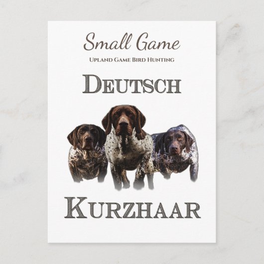 Vogelhond, Upland Game Vogeljacht Briefkaart (Voorkant)