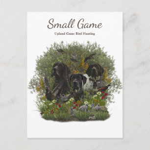 Vogelhond, Upland Game Vogeljacht Briefkaart