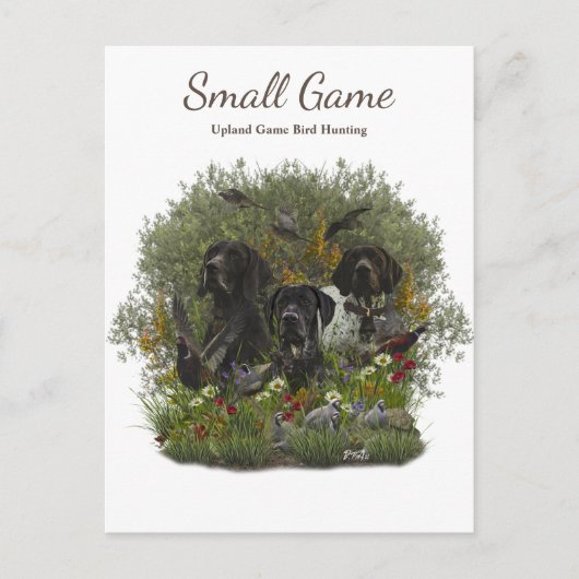 Vogelhond, Upland Game Vogeljacht Briefkaart (Voorkant)
