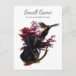 Vogelhond, Upland Game Vogeljacht Briefkaart