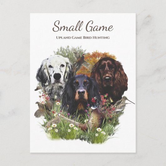 Vogelhond, Upland Game Vogeljacht Briefkaart (Voorkant)