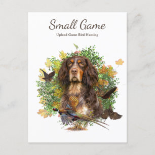 Vogelhond, Upland Game Vogeljacht Briefkaart