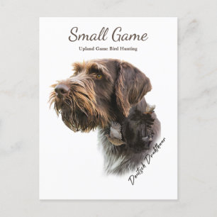 Vogelhond, Upland Game Vogeljacht Briefkaart