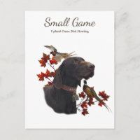 Vogelhond, Upland Game Vogeljacht