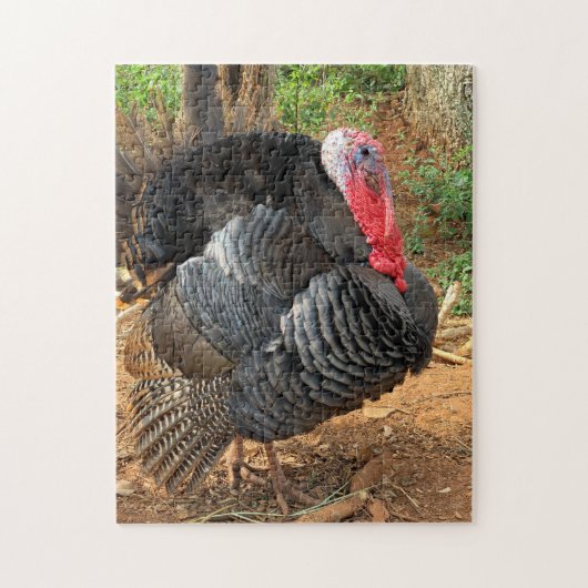 Vogelhouderij in Turkije Legpuzzel (Verticaal)