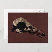 Vogelhuid Briefkaart (Voorkant / Achterkant)