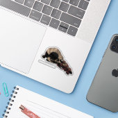Vogelhuid Sticker (Laptop met iPhone)