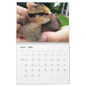 Vogelhuis en Barn-kalender Kalender (Mar 2026)