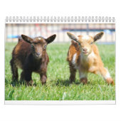 Vogelhuis en Barn-kalender Kalender (Hoes)