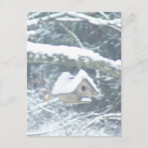 vogelhuis in de sneeuw briefkaart