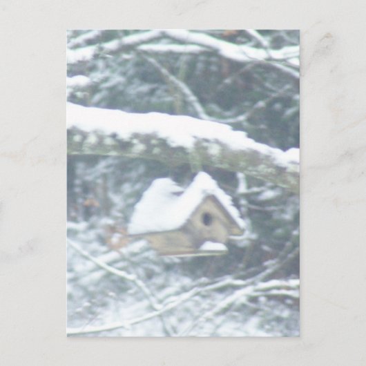 vogelhuis in de sneeuw briefkaart (Voorkant)