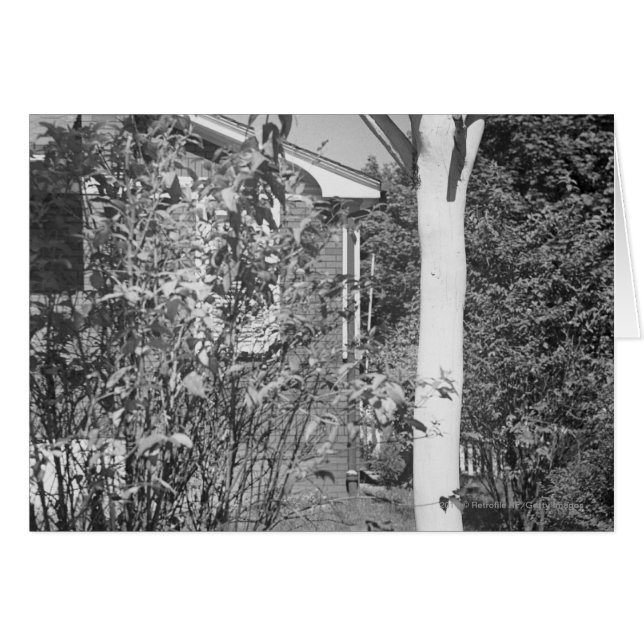 Vogelhuis in de tuin (Voorkant Horizontaal)