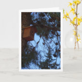 Vogelhuis in Pine Tree Portret Kaart (Gele Bloem)