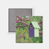 Vogelhuis op een Judasboom Magneet (Voorkant / Achterkant)