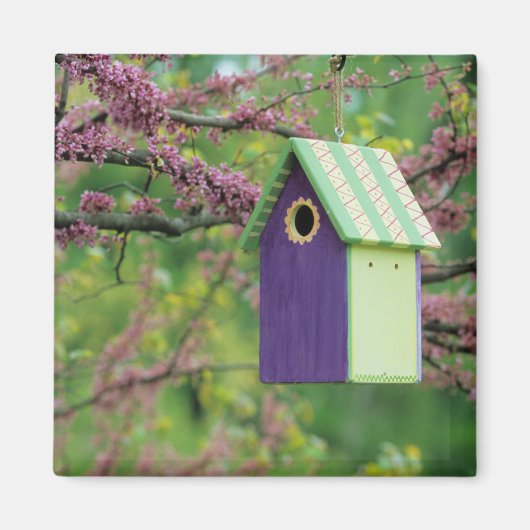 Vogelhuis op een Judasboom Magneet (Voorkant)