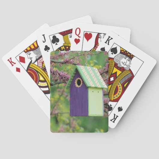 Vogelhuis op een Judasboom Pokerkaarten (Achterkant)