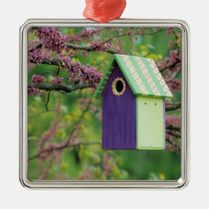 Vogelhuisje In Een Judasboom Metalen Ornament