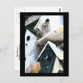 Vogelhuisjes Briefkaart (Voorkant / Achterkant)