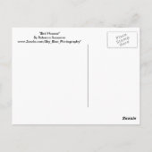 Vogelhuisjes Briefkaart (Achterkant)