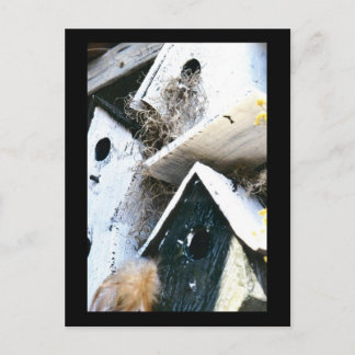 Vogelhuisjes Briefkaart