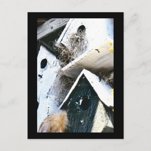 Vogelhuisjes Briefkaart (Voorkant)