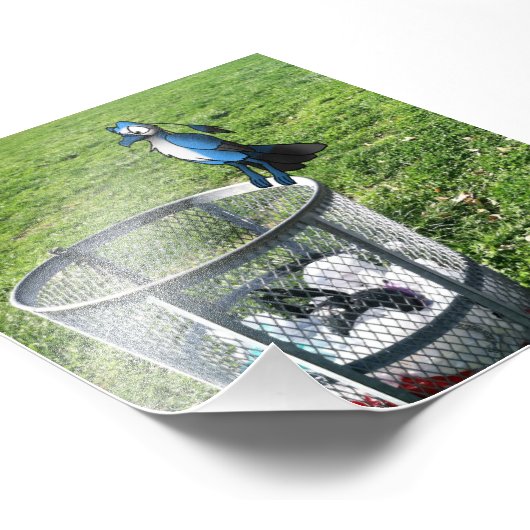 Vogelhybriden op vuilnis kunnen foto's afdrukken foto afdruk (Hoek)