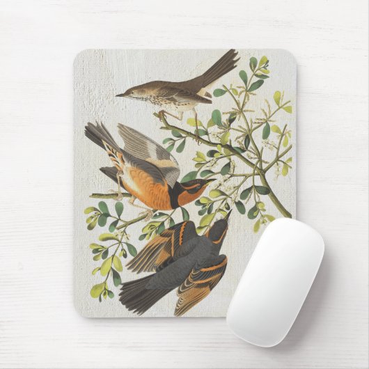  vogelillustratie Birdwatch Lover Gift Muismat (Met muis)