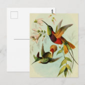  vogelillustratie briefkaart (Voorkant / Achterkant)