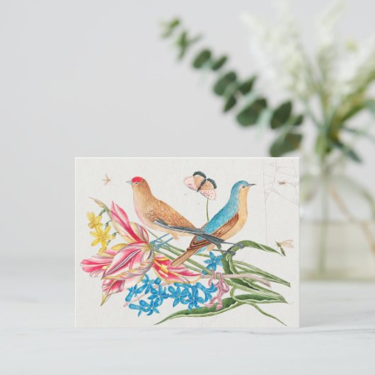  vogelillustratie briefkaart (Staand voorkant)