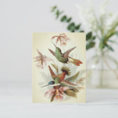 vogelillustratie briefkaart (Staand voorkant)